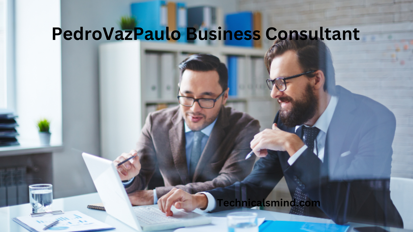 PedroVazPaulo Business Consultant