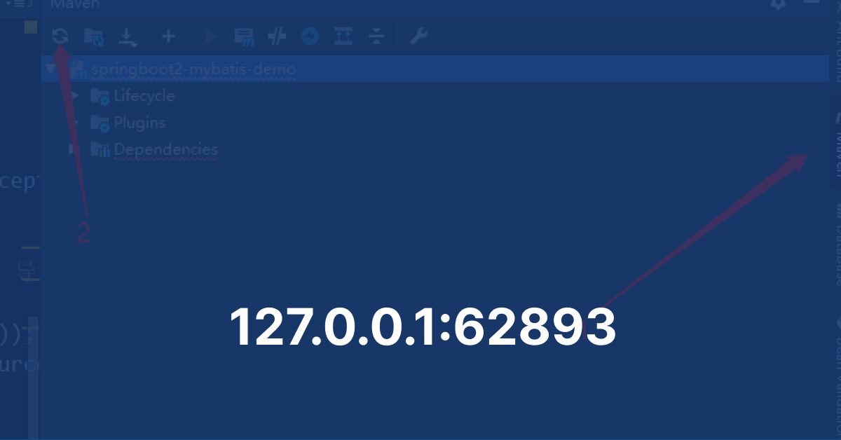 127.0.0.1:62893 in Networking and Software Development
