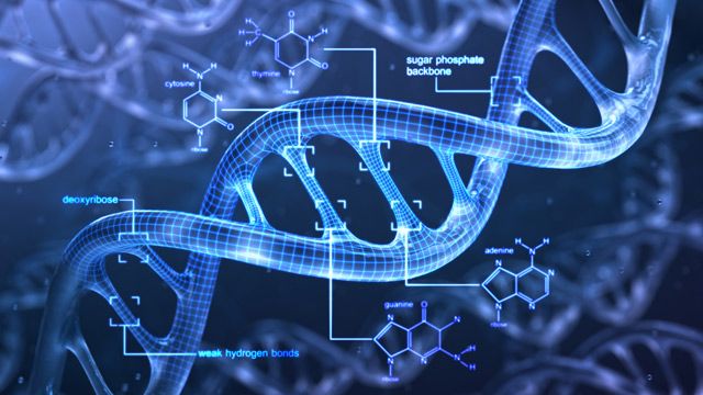 Genetic Methylation