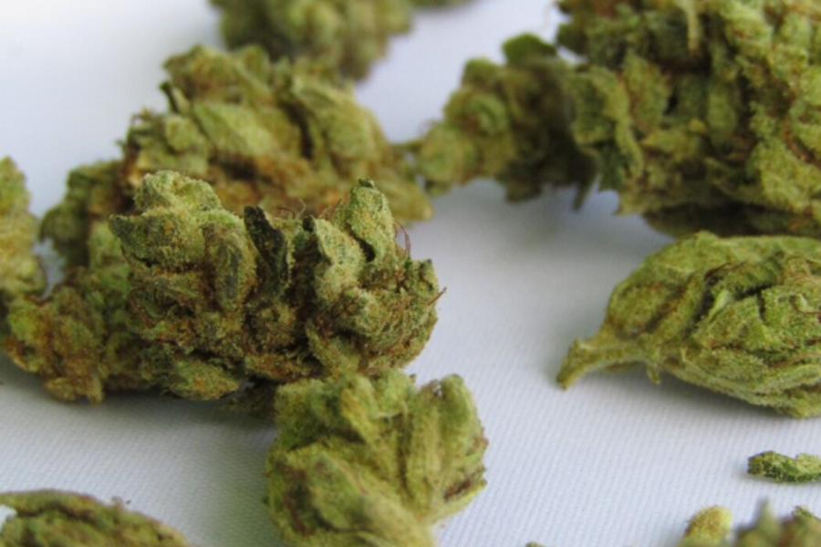 Cannabis Hash